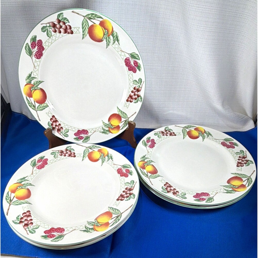 Vintage Citation Garden Trellis Stoneware 5 Dinner Plates 10.5” Multi Fruit Set